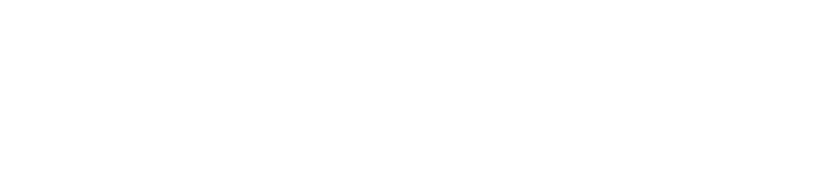 Zenic Logo